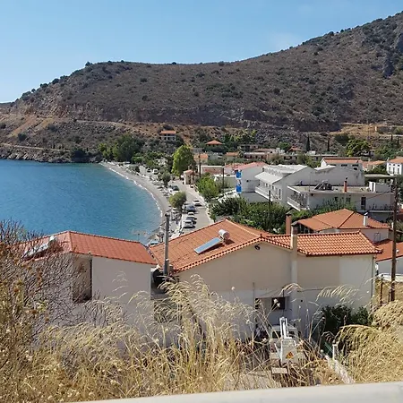 Lovely Flat Галаксиди