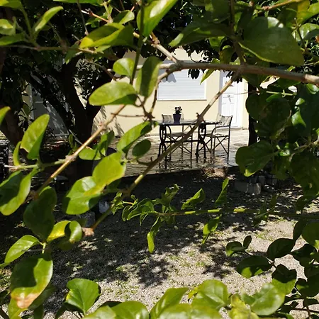 Апартаменты Lovely Flat Галаксиди